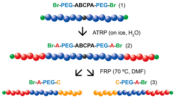 Examples of polymers with a controlled composition prepared by ATRP