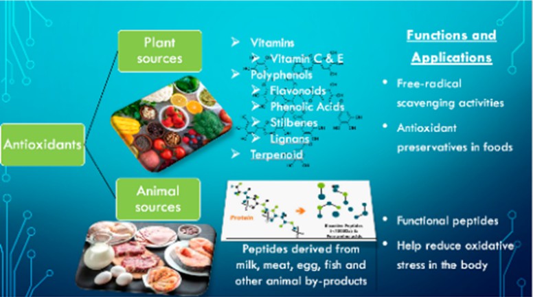 Polymer Additives