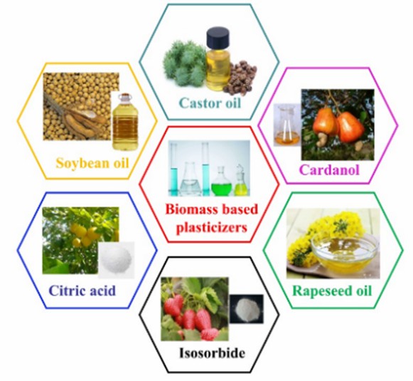 polyvinyl chloride (PVC) plasticizers derived from biomass resources