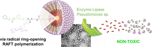 Biodegradable glycopolymers micelles obtained by ring-opening polymerization 