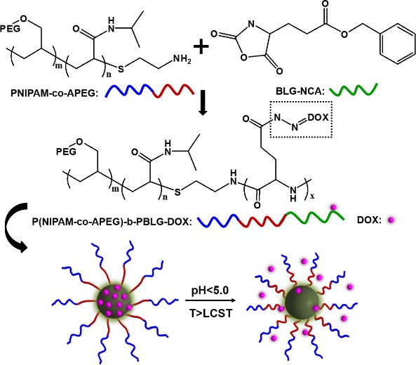 Preparation and controlled drug release ability of the polymeric micelles