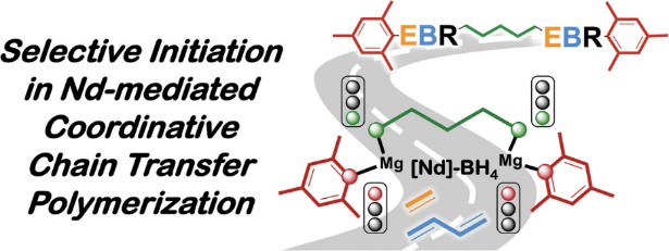 Application of divalent bis-metalated chain transfer agents in the polymerization