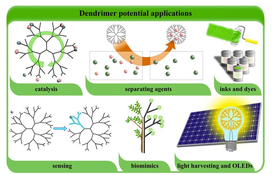 Schematic representation of dendrimer potential applications