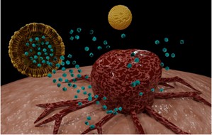 Protein-polymer Self-assembly Conjugation Technologies