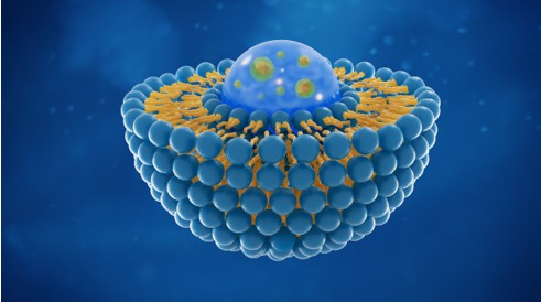 Protein Cage-based Polymer Conjugation Technologies