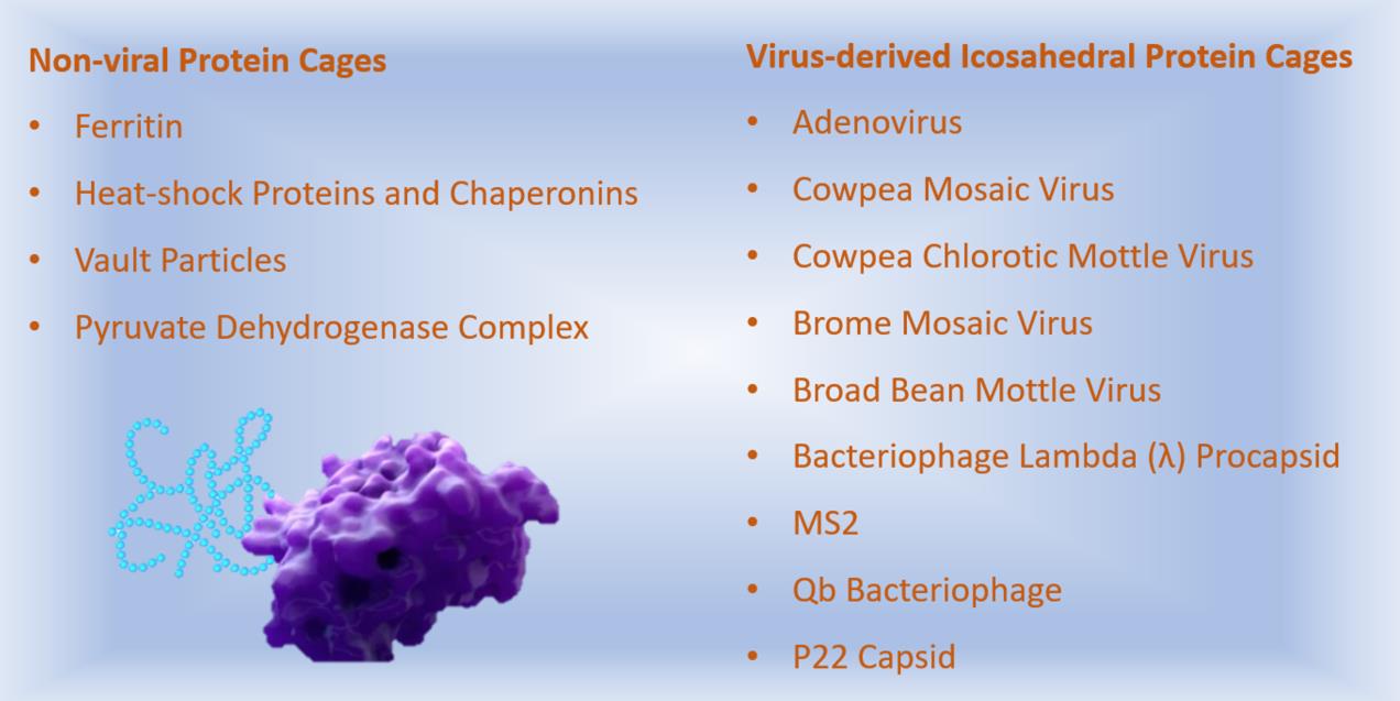 Protein Cage-based Polymer Conjugation Technologies