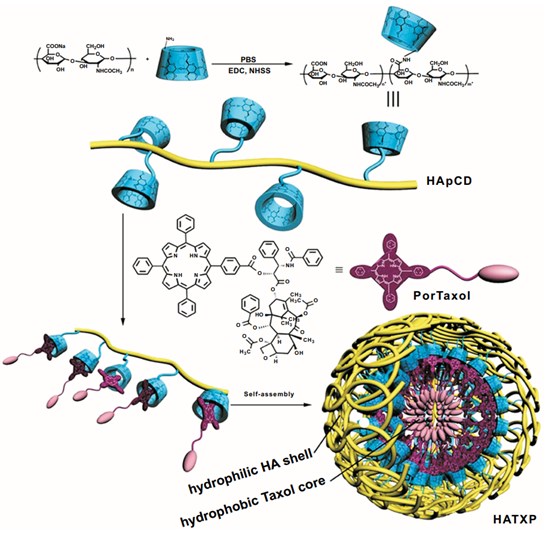 A self-assembly construct of dextran-hyaluronic acid co-polymer for taxol  delivery 