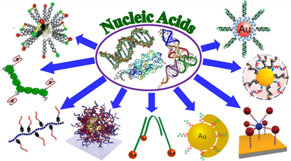 Nucleic Acid-polymer Conjugates 