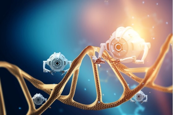 Nucleic Acid-polymer Conjugates  2