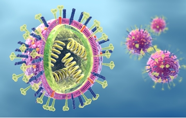 Liposome-polymer Conjugates 2