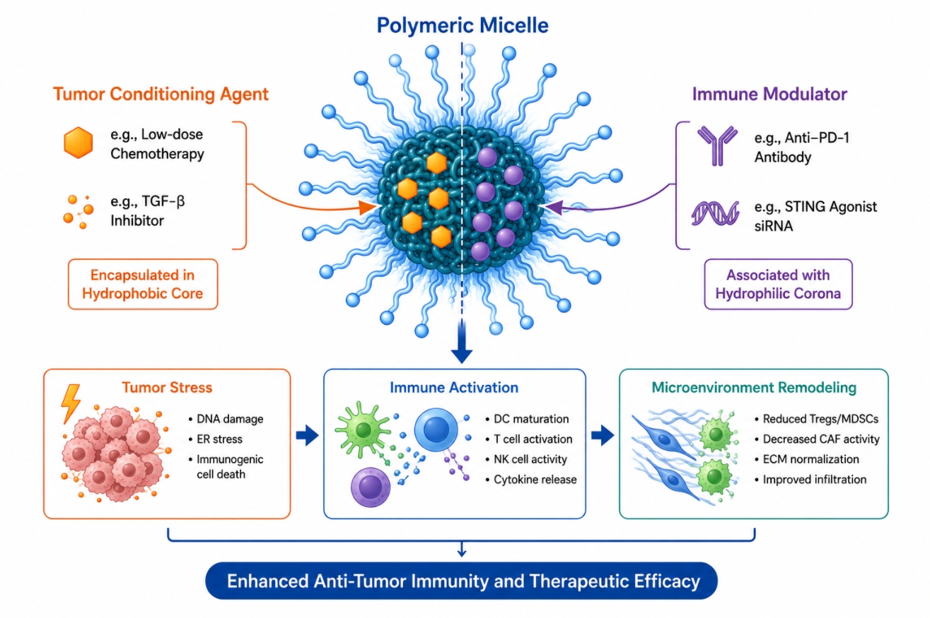 polymeric micelle immunotherapy combination design