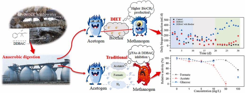 Biochar assisted cellulose anaerobic digestion under the inhibition of DDBAC