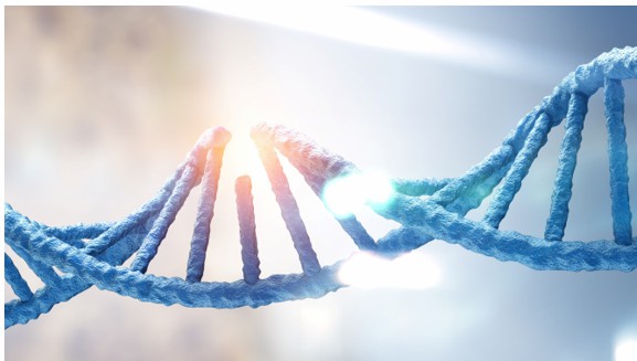 DNA-Polymer Conjugation Technologies 2