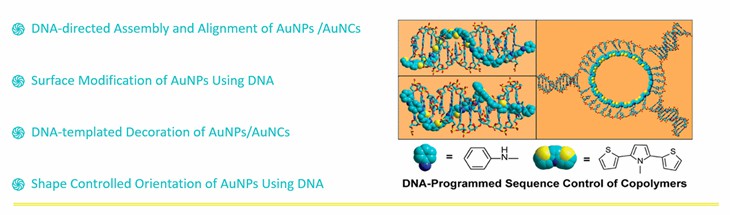 DNA-Polymer Conjugation Technologies 2