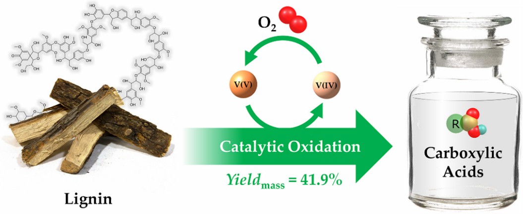 Preparation of carboxylic acids