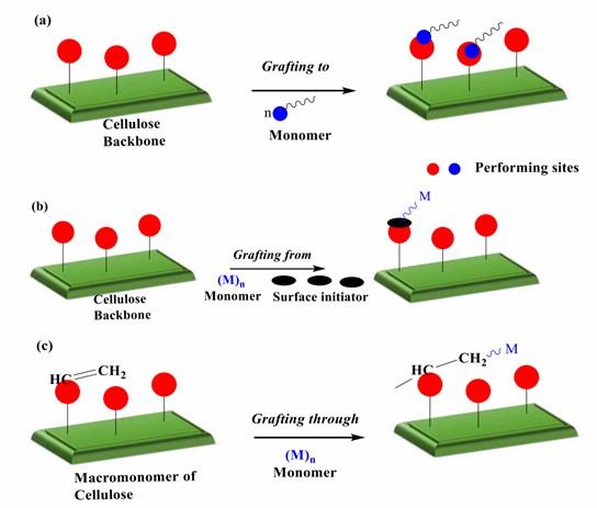 Mechanism of (a) grafting to (b) grafting from (c) grafting through 