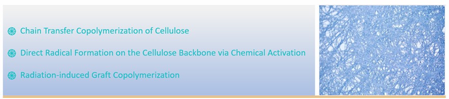 Cellulose-polymer Conjugation Technologies 2