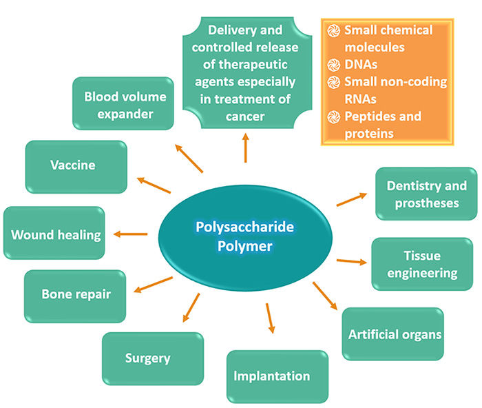 Polysaccharide-polymer Conjugation Technologies 2