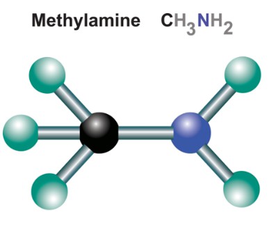 Amine Monomers