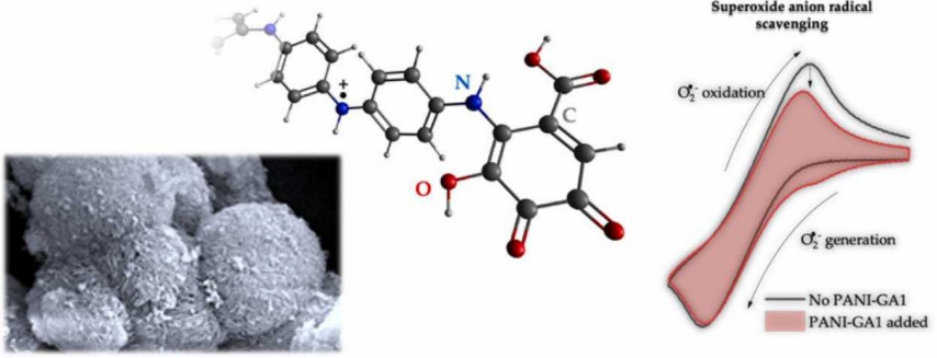 Preparation of a novel electroactive material