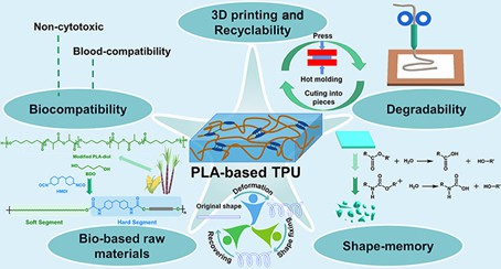 Biodegradable polymer materials for antibacterial applications