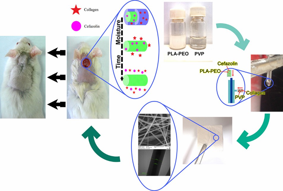 Biodegradable polymer materials for antibacterial applications