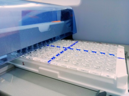 Lactide and Glycolide Polymers