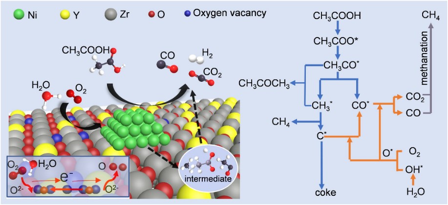 The evolution route of acetic acid over catalyst in ATR of Hac