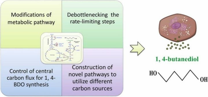 Preparation and application of 1, 4-butanediol