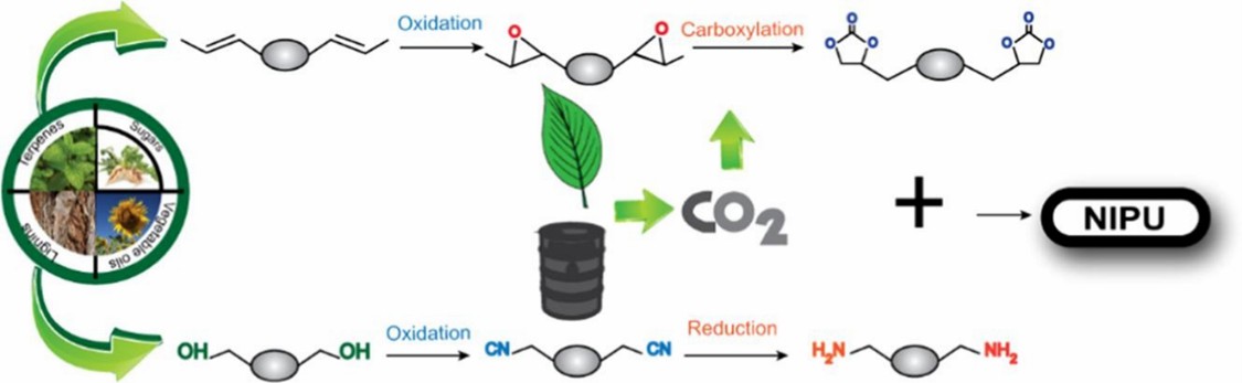 Preparation of polyurethane by mono-isocyanate