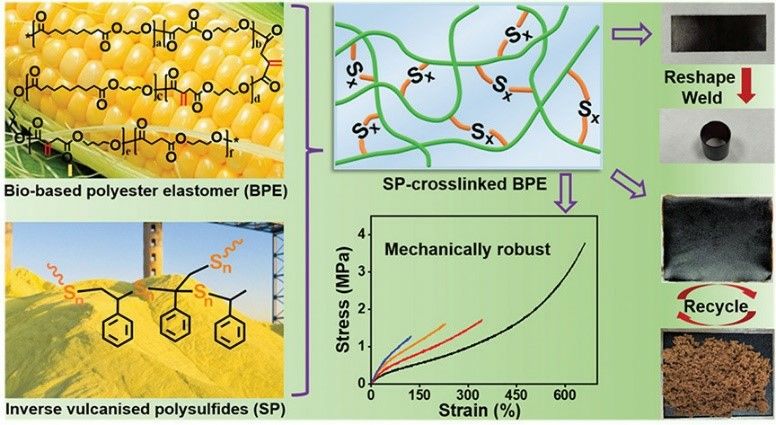 Preparation of bio-based polyester elastomer using an inverse vulcanized polysulfide as a crosslinker