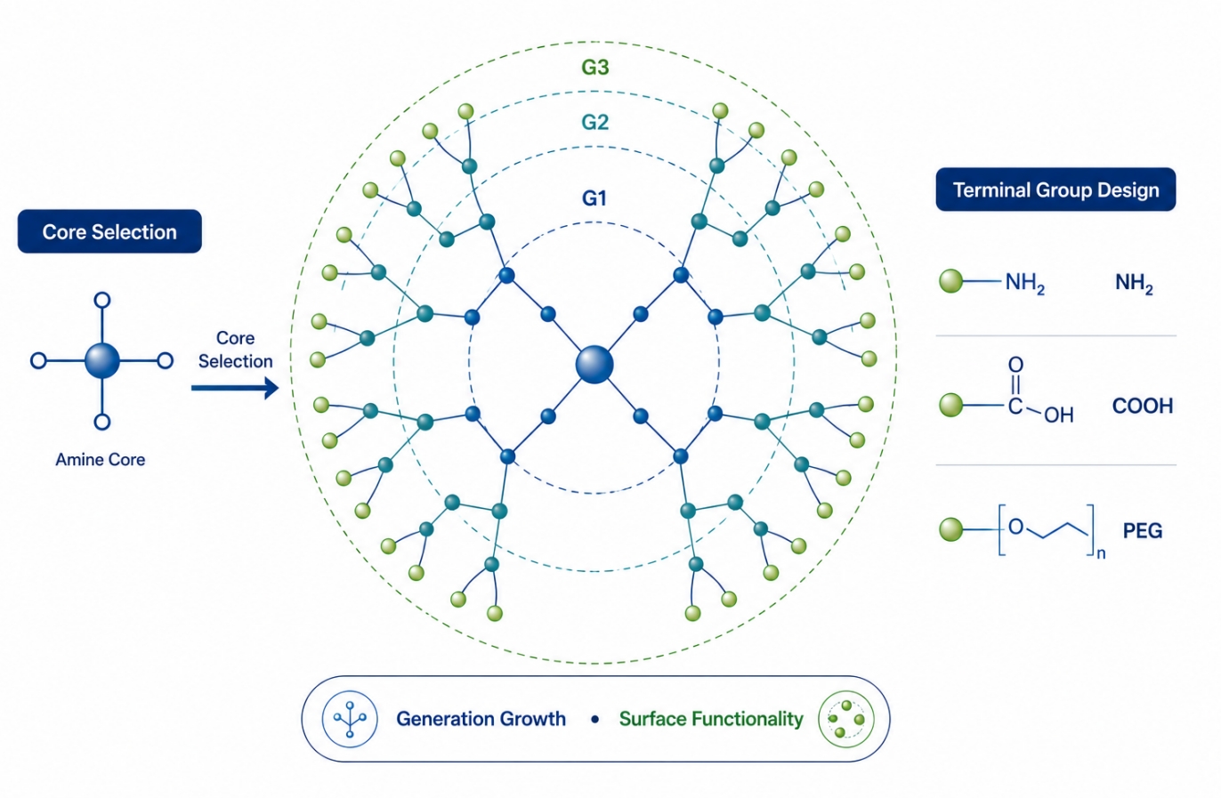 Dendrimer synthesis with generation control and terminal group design
