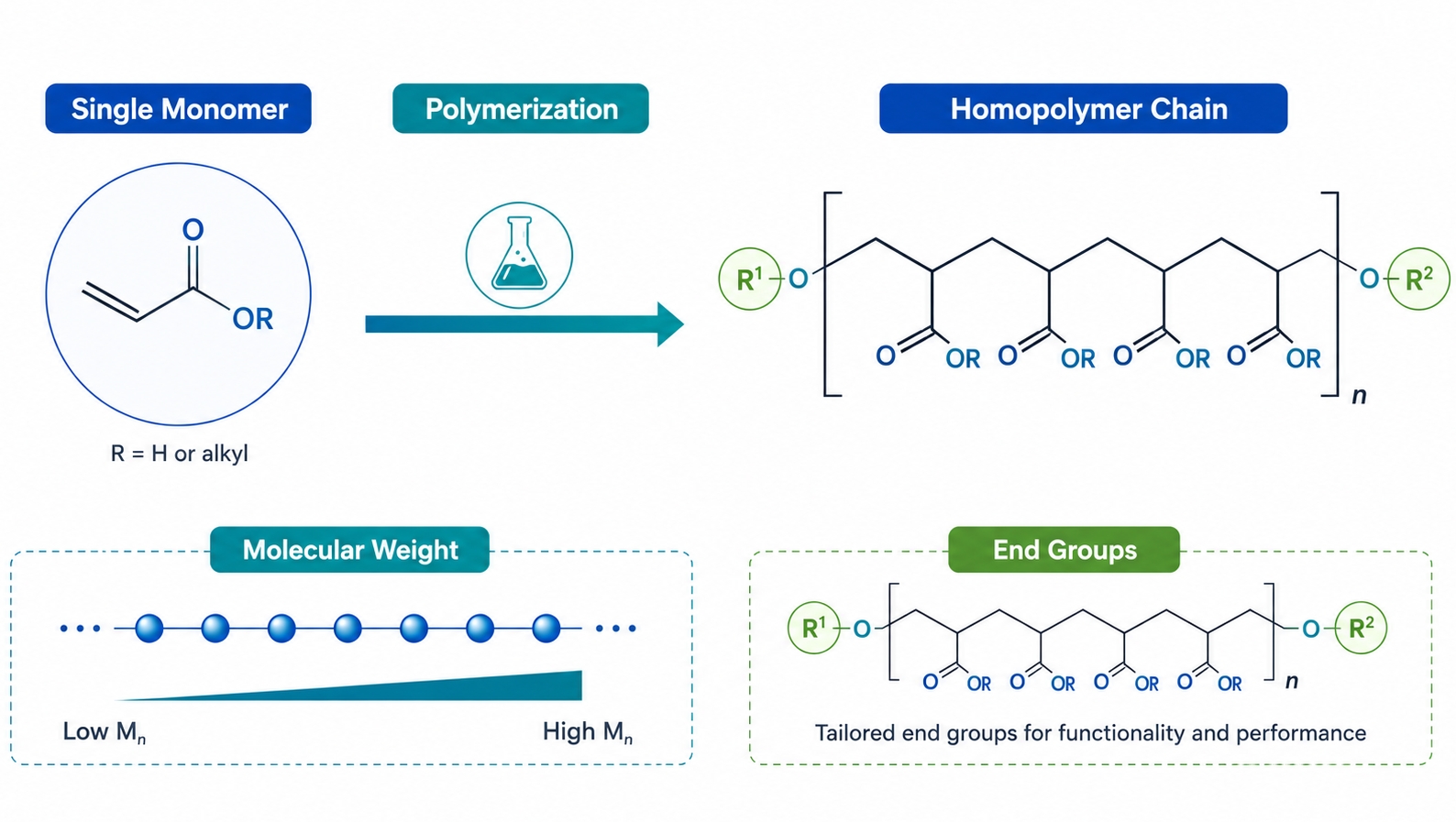Homopolymer synthesis from single monomer polymerization
