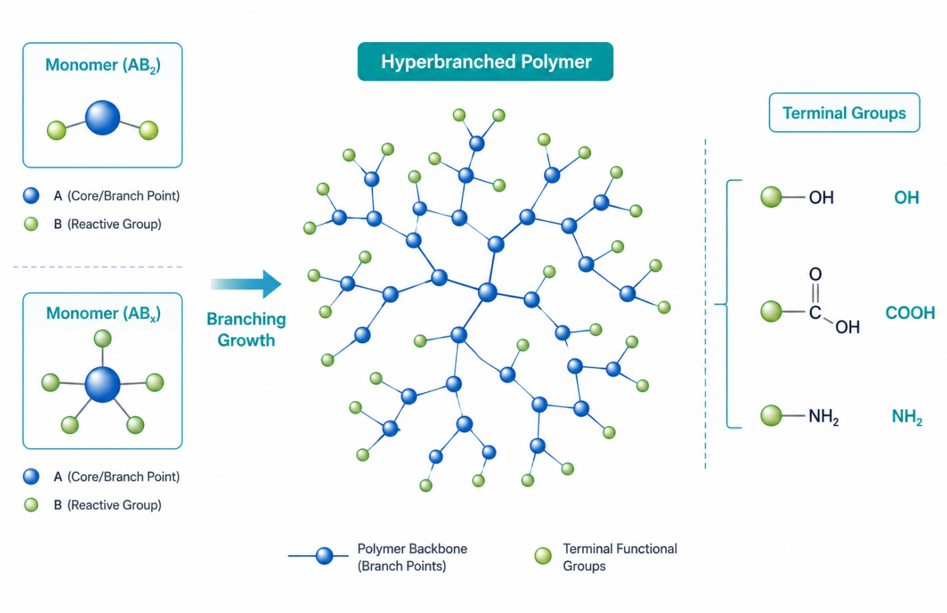 Hyperbranched polymer synthesis with branched architecture and terminal groups