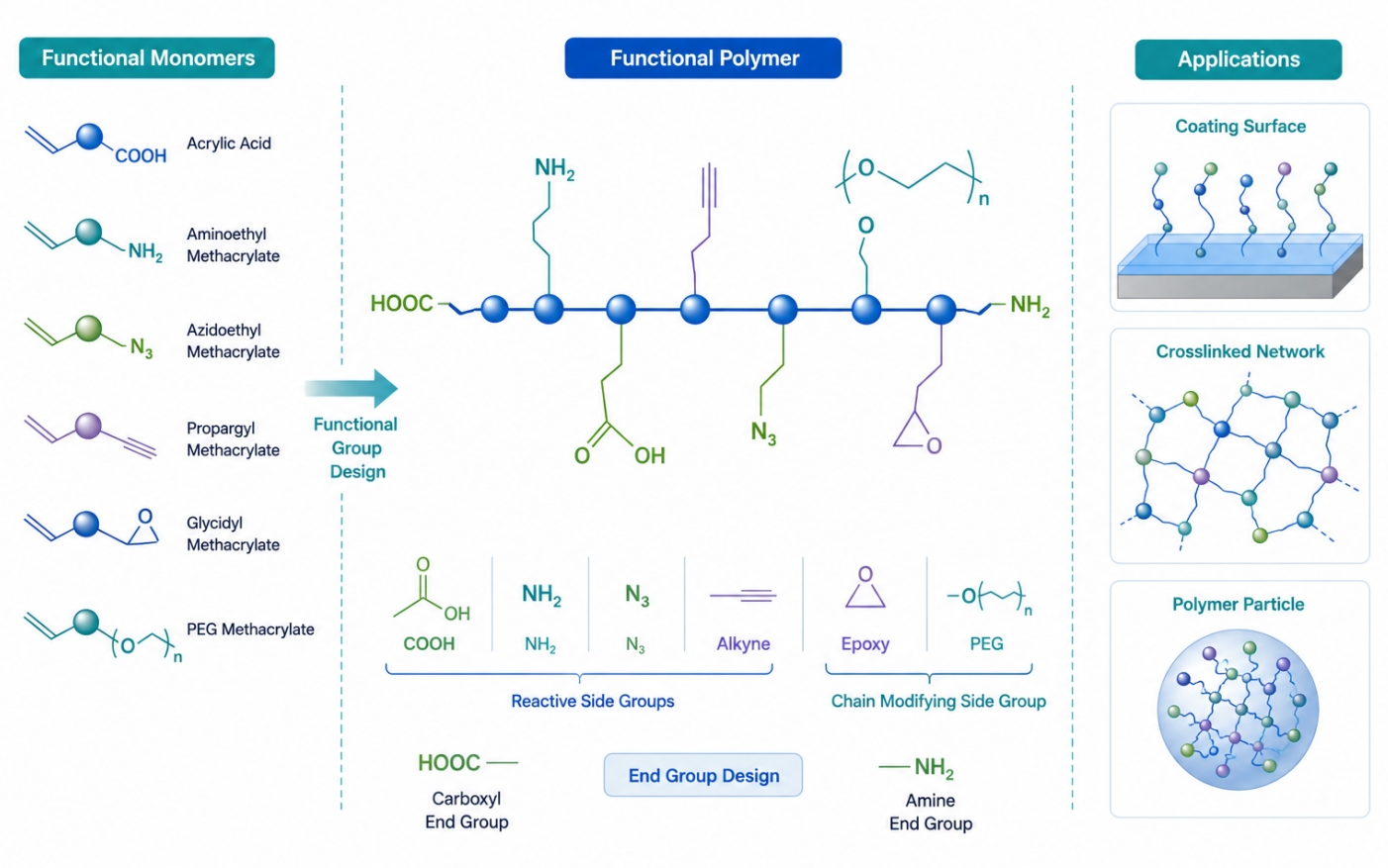 Functional polymer synthesis with reactive side groups and end groups