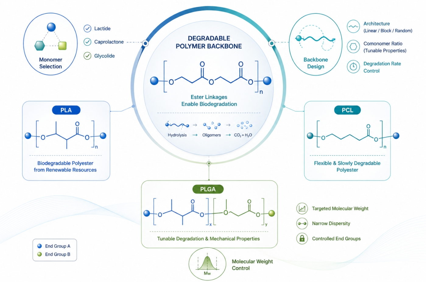 Biodegradable polymer synthesis with degradable backbone and end group design
