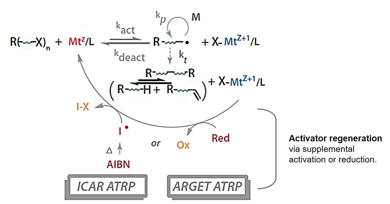 Schematic illustration of the ATRP equilibrium.