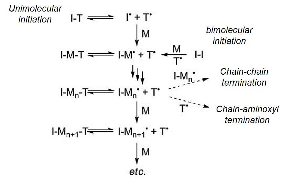 General illustration of NMP mechanism.