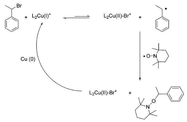 Approach to alkoxyamines in the presence of a copper complex.