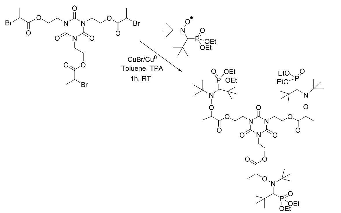 Approach to polyfunctional alkoxyamines.