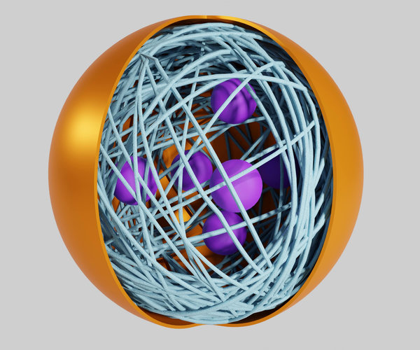 Biodegradable Polymers for Nanoparticles: PLGA, PLA, PCL, Chitosan, and Beyond