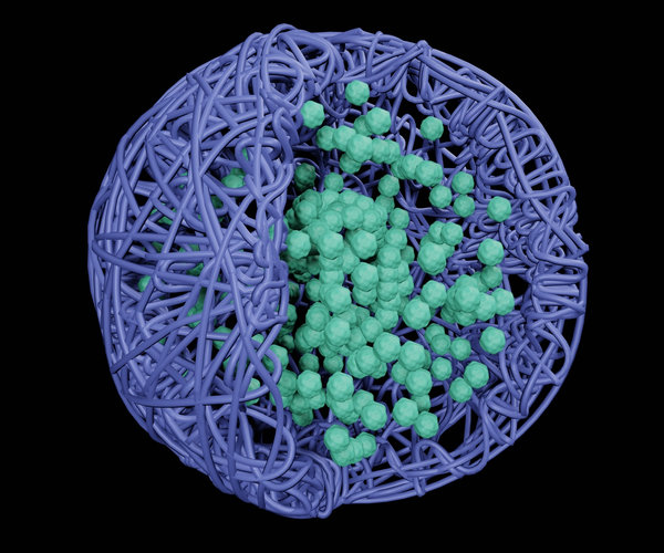 Nanospheres vs Nanocapsules: How to Choose the Right Polymer Nanoparticle Structure