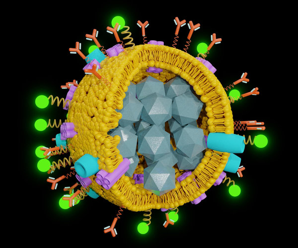 Polymer Nanoparticles for Nucleic Acid Delivery: Materials and Delivery Strategies