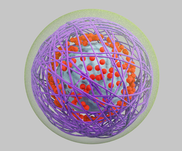 Formulating Polymer Nanoparticles for Protein and Peptide Delivery
