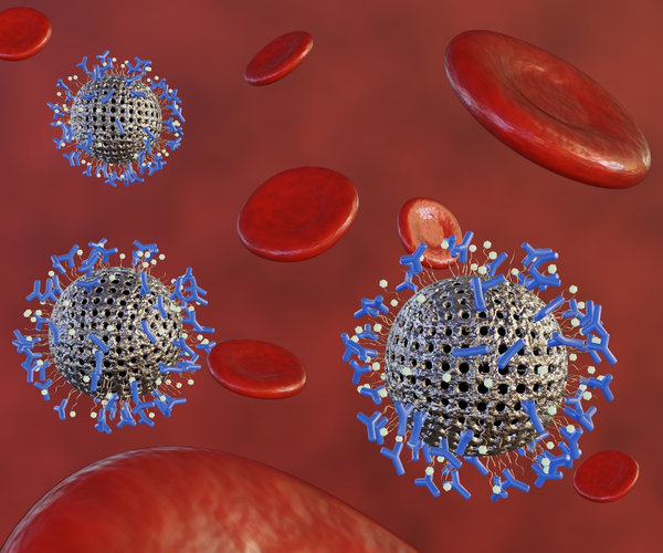 Polymer Nanoparticles for Vaccine Delivery: Design and Functional Roles