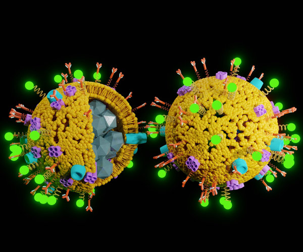 Polymer Nanoparticles vs Lipid Nanoparticles: How They Differ