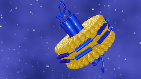 Stimuli-Responsive Polymer Nanoparticles for Controlled Release